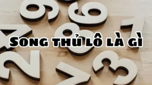 song-thu-lo-la-phuong-phap-dat-cuoc-cap-so-trong-cung-mot-lan-min_11zon